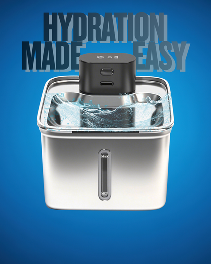 Pawfect Hydration Bowl
